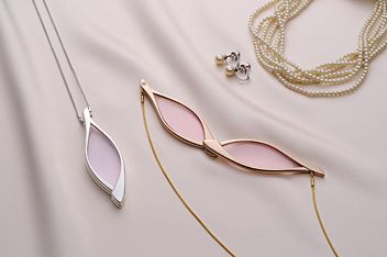 ニコン