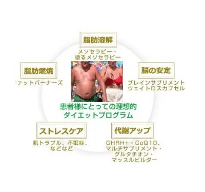 男性用メディカルダイエット