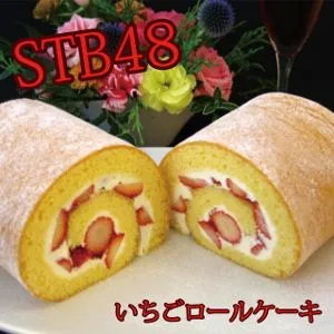 STB48