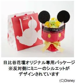シュシュフルーレ